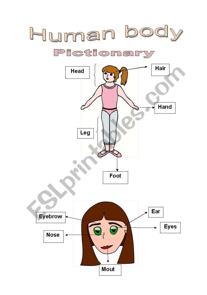Human body - Pictionary worksheet