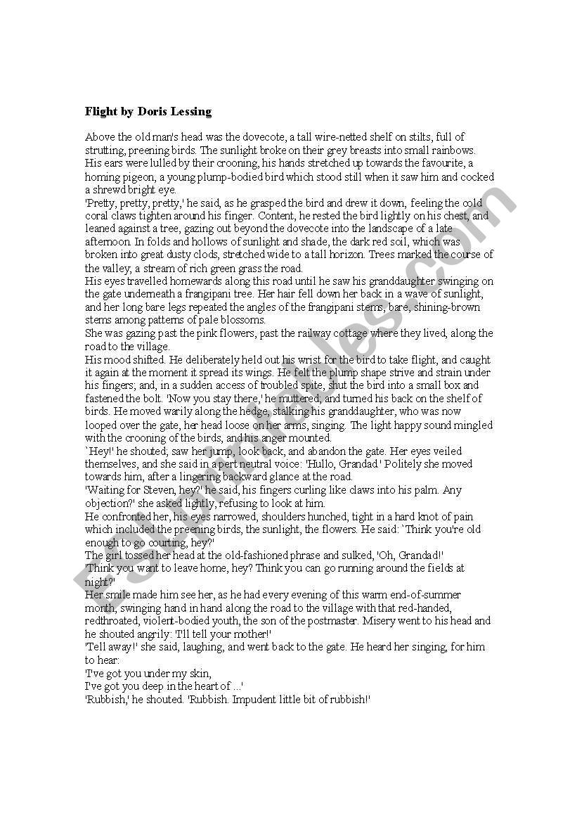 english literature analysis _flight by Dorris Lessing