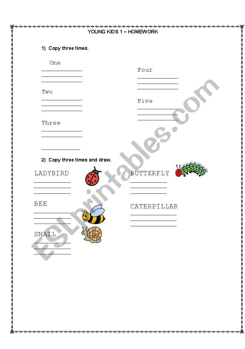 numbers and insects worksheet