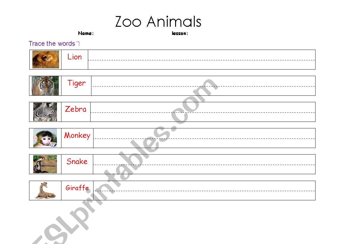 Animals worksheet