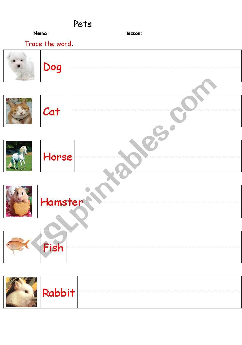 Pets worksheet