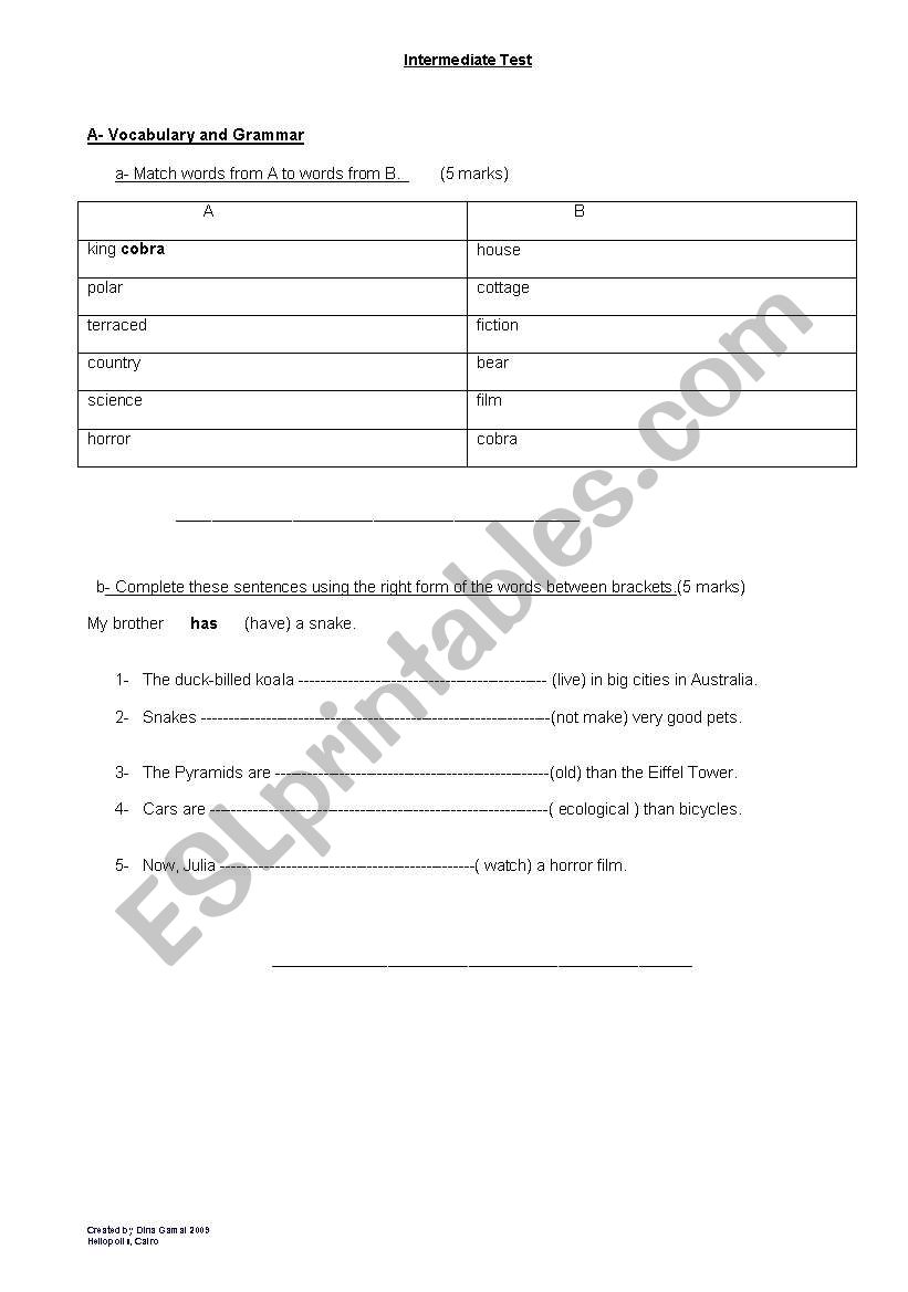 Intermediate Test worksheet