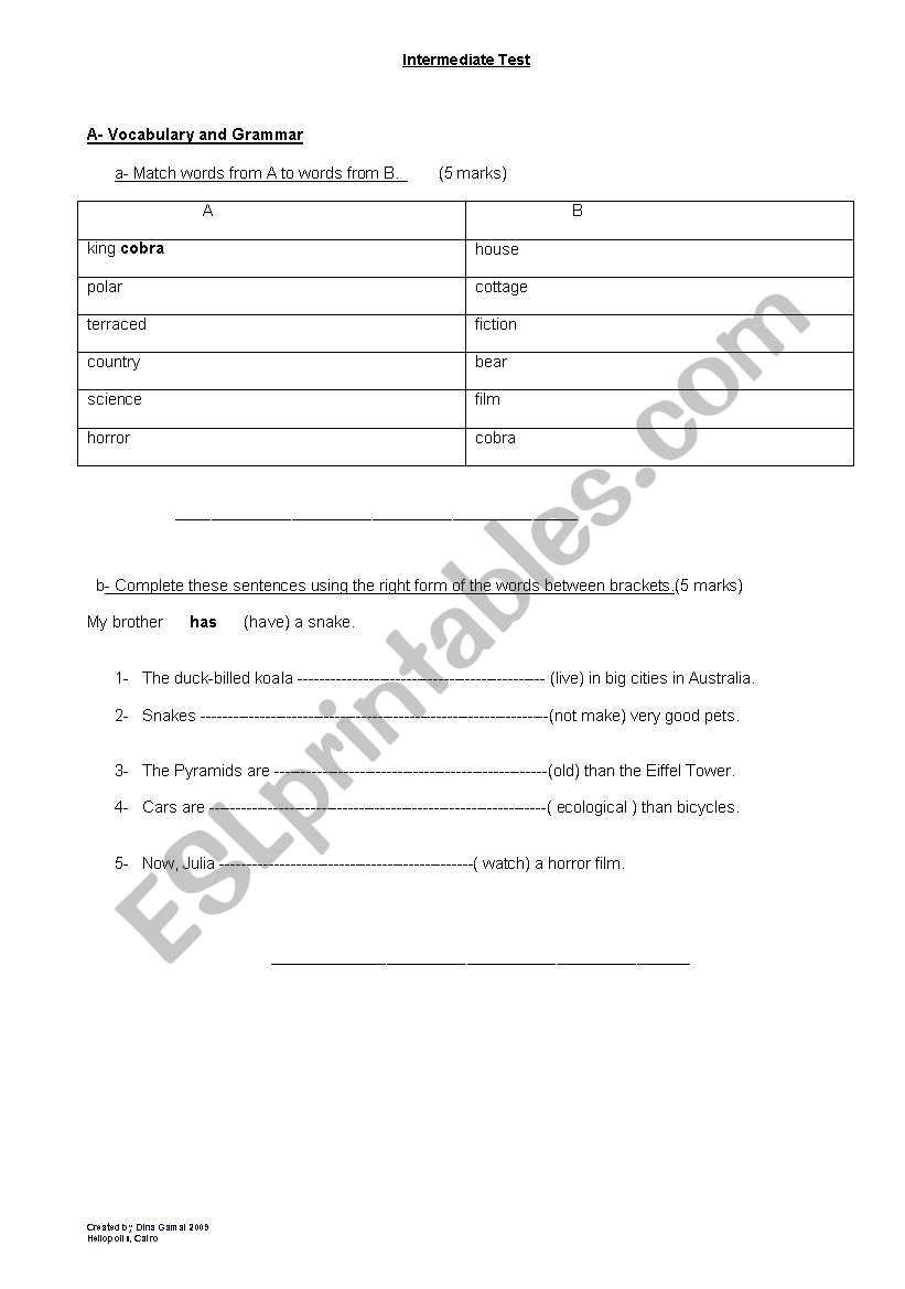 Intermediate Test worksheet