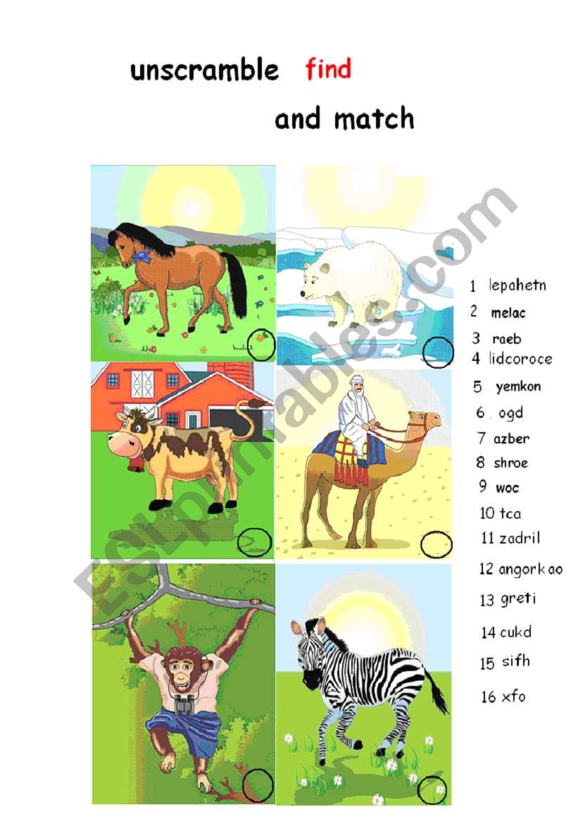 unscramble and match the animals