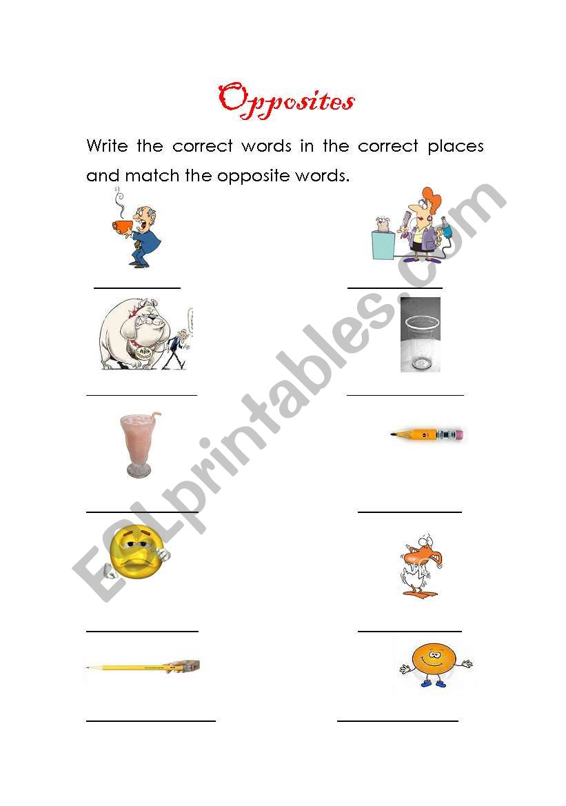 Opposites worksheet