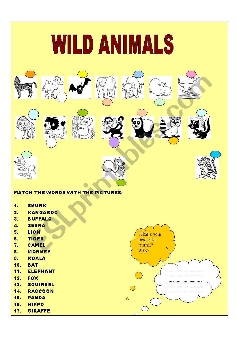 animal worksheet worksheet