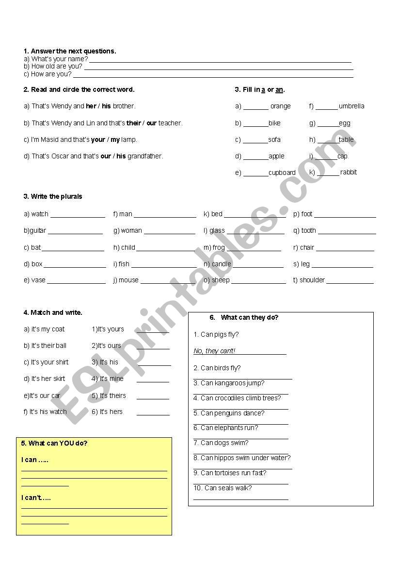 Parts of the body! worksheet