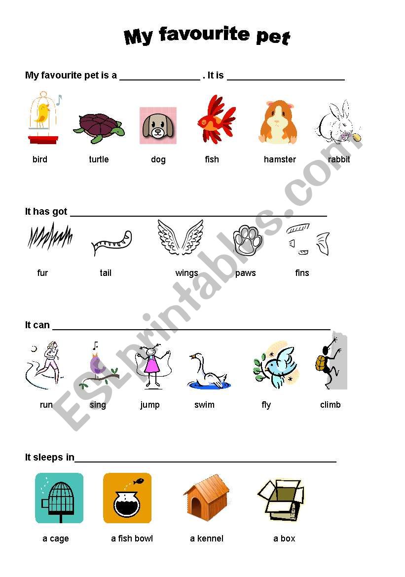 Pets worksheet