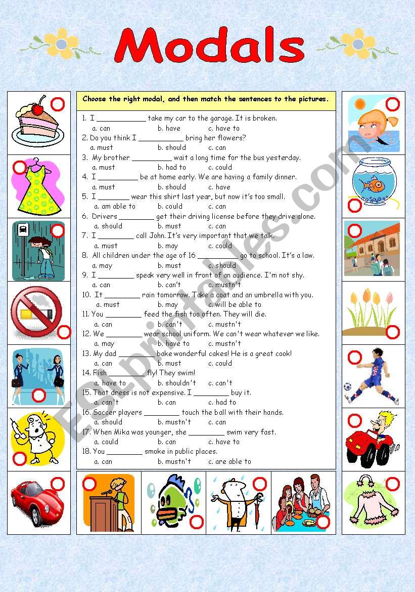 modals assignment class 8