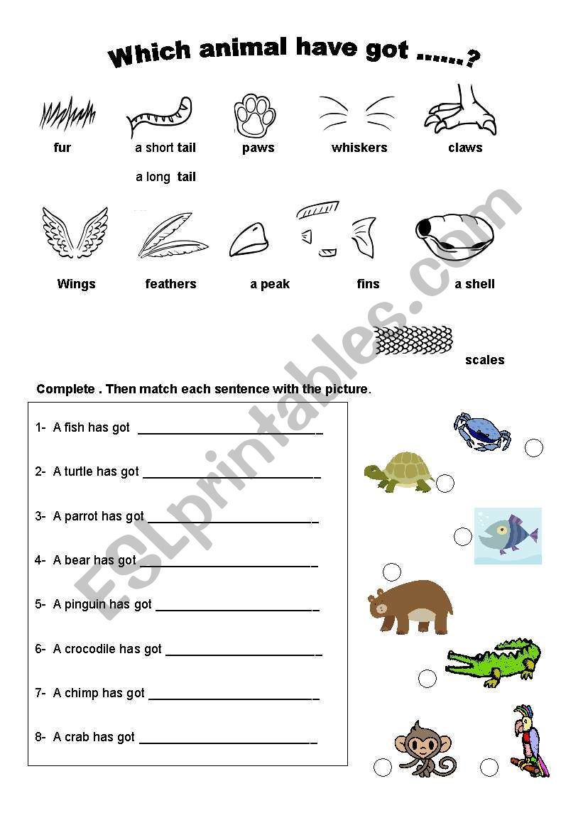 Animal body parts - ESL worksheet by LeandraG