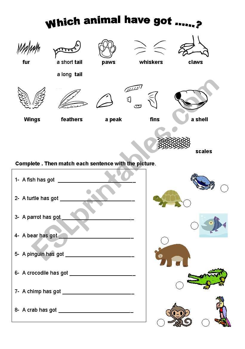 Animal body parts worksheet