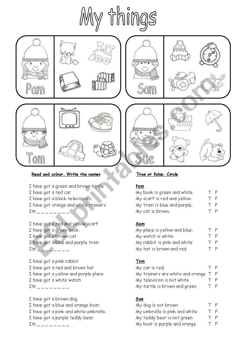 My things (have got) worksheet