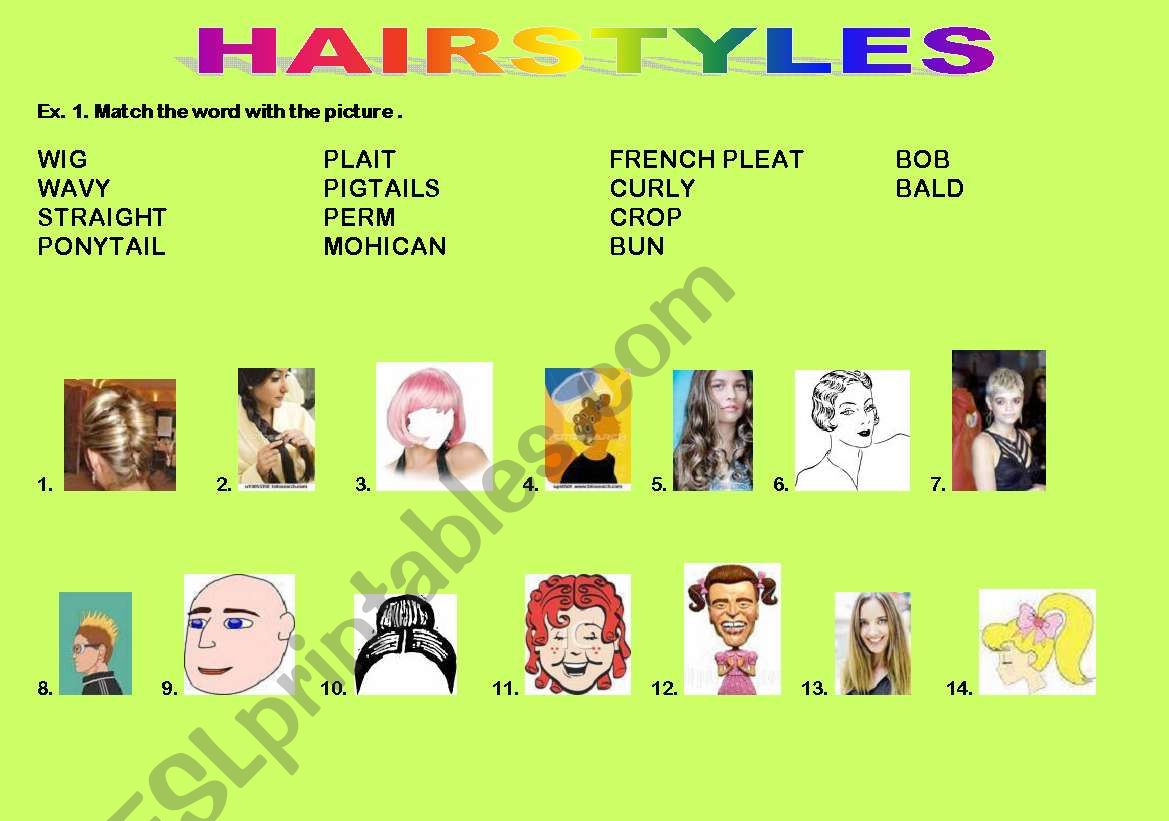 HAIRSTYLES - VOCABULARY AND CROSSWORD