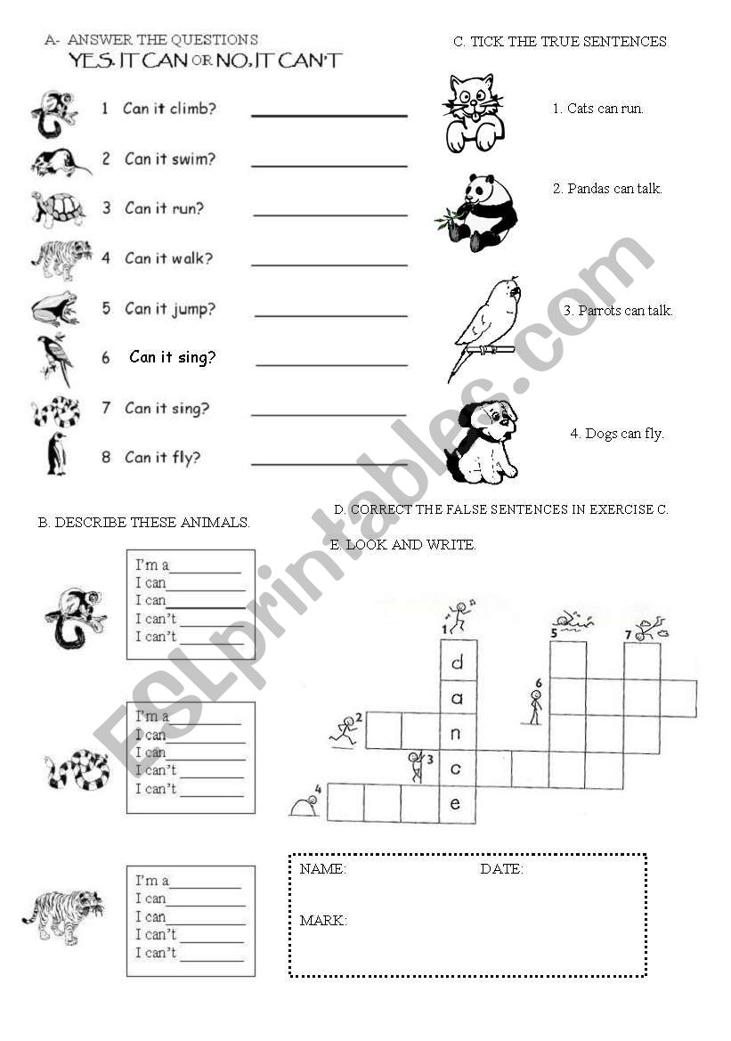 MODAL CAN PRACTICE worksheet