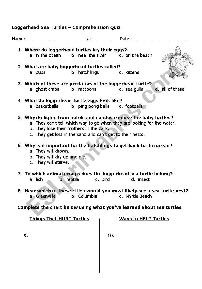 Loggerhead Sea Turtle Comprehension Quiz