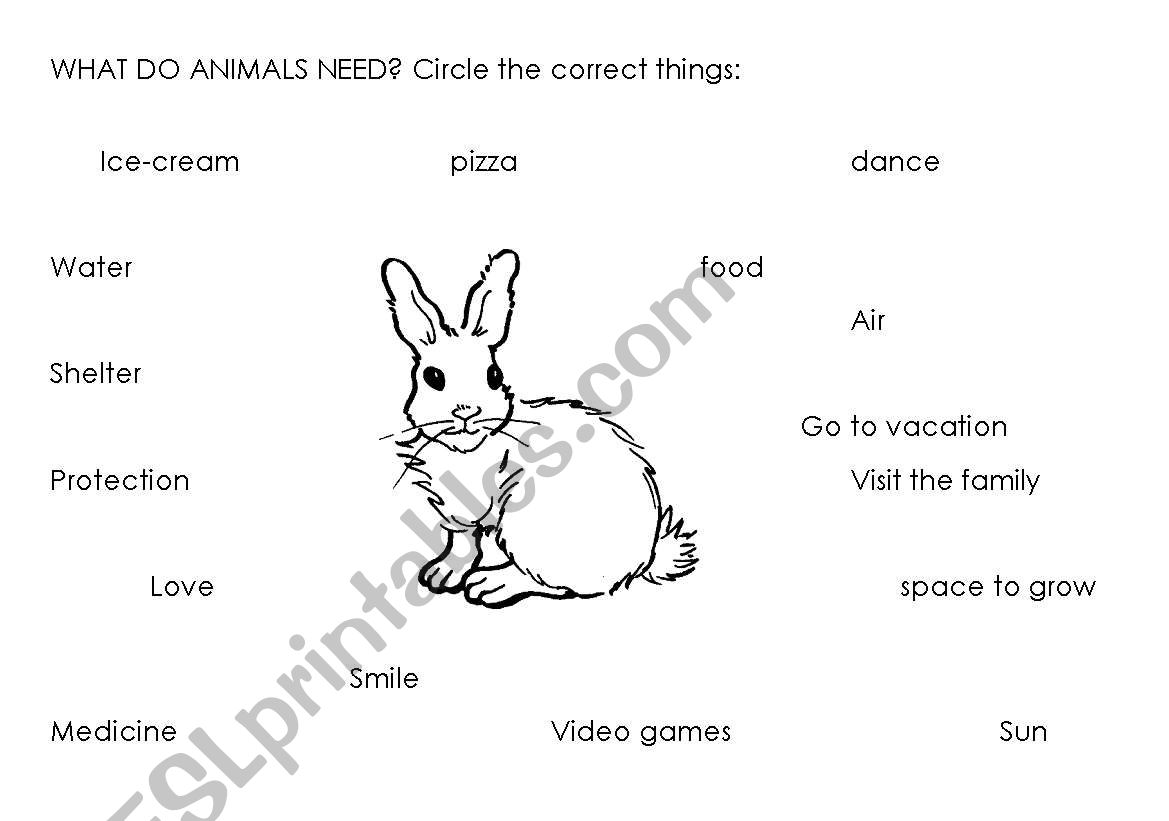 What do animals need? worksheet
