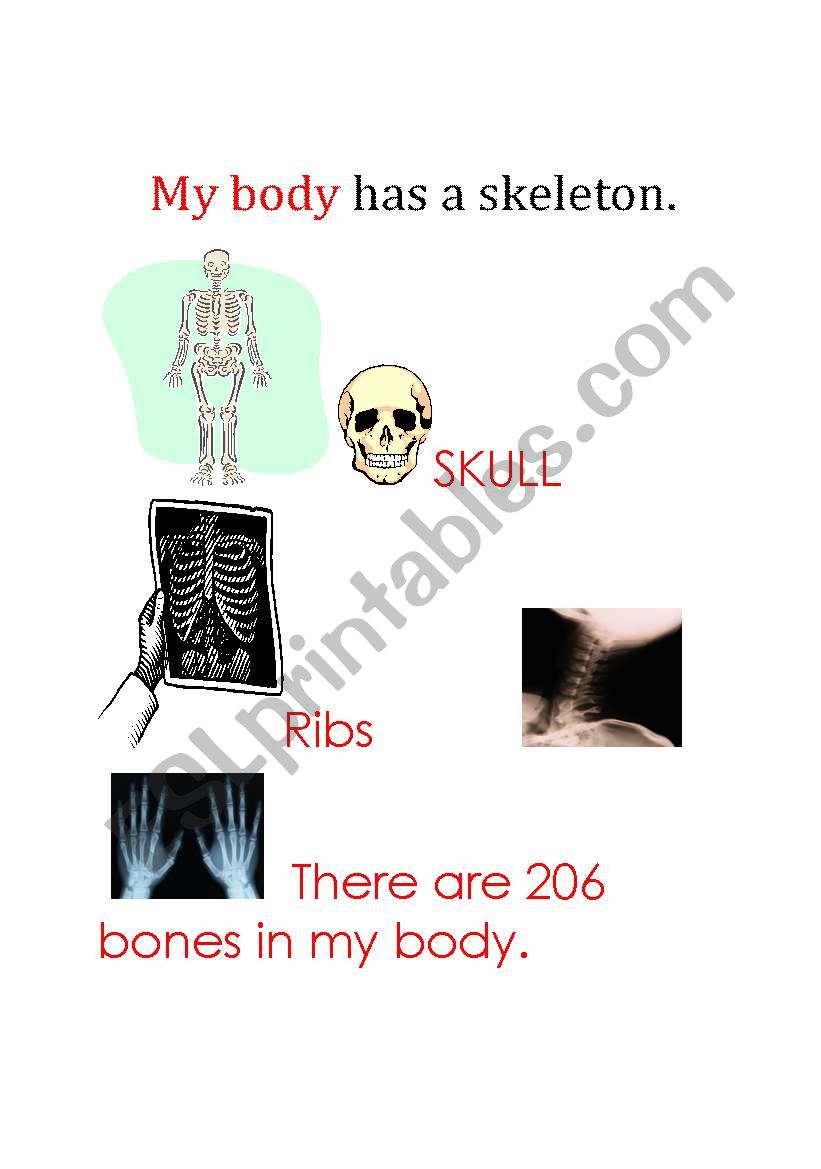 Skeletal System worksheet