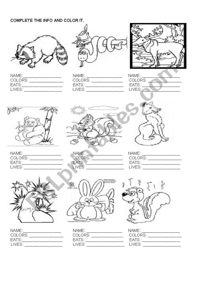 FOREST/WILD ANIMALS worksheet