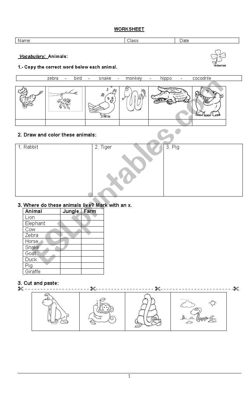 Animals worksheet