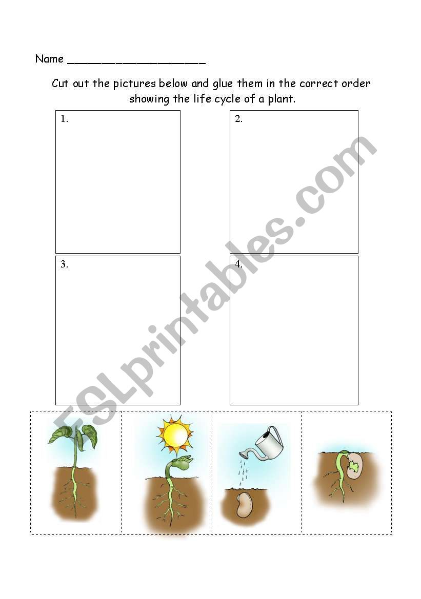 plant lifecycle assessment worksheet