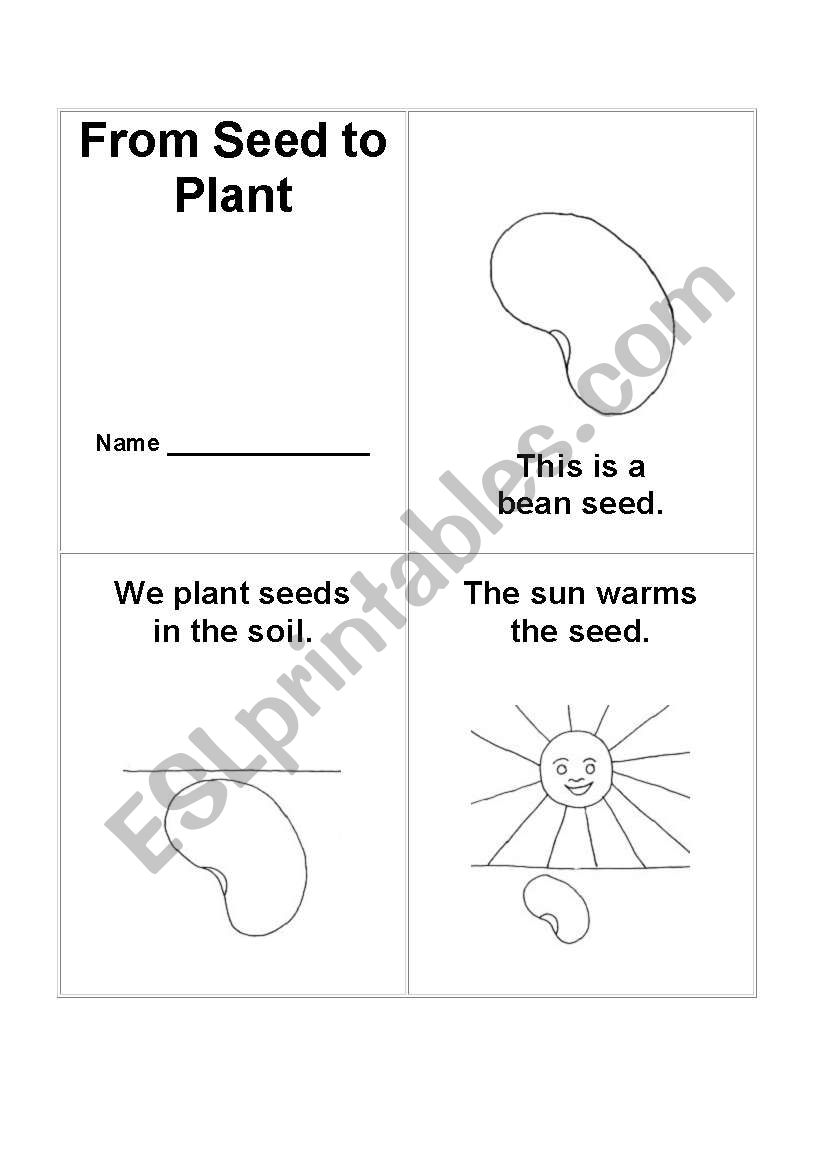 From Seed to Plant Book worksheet