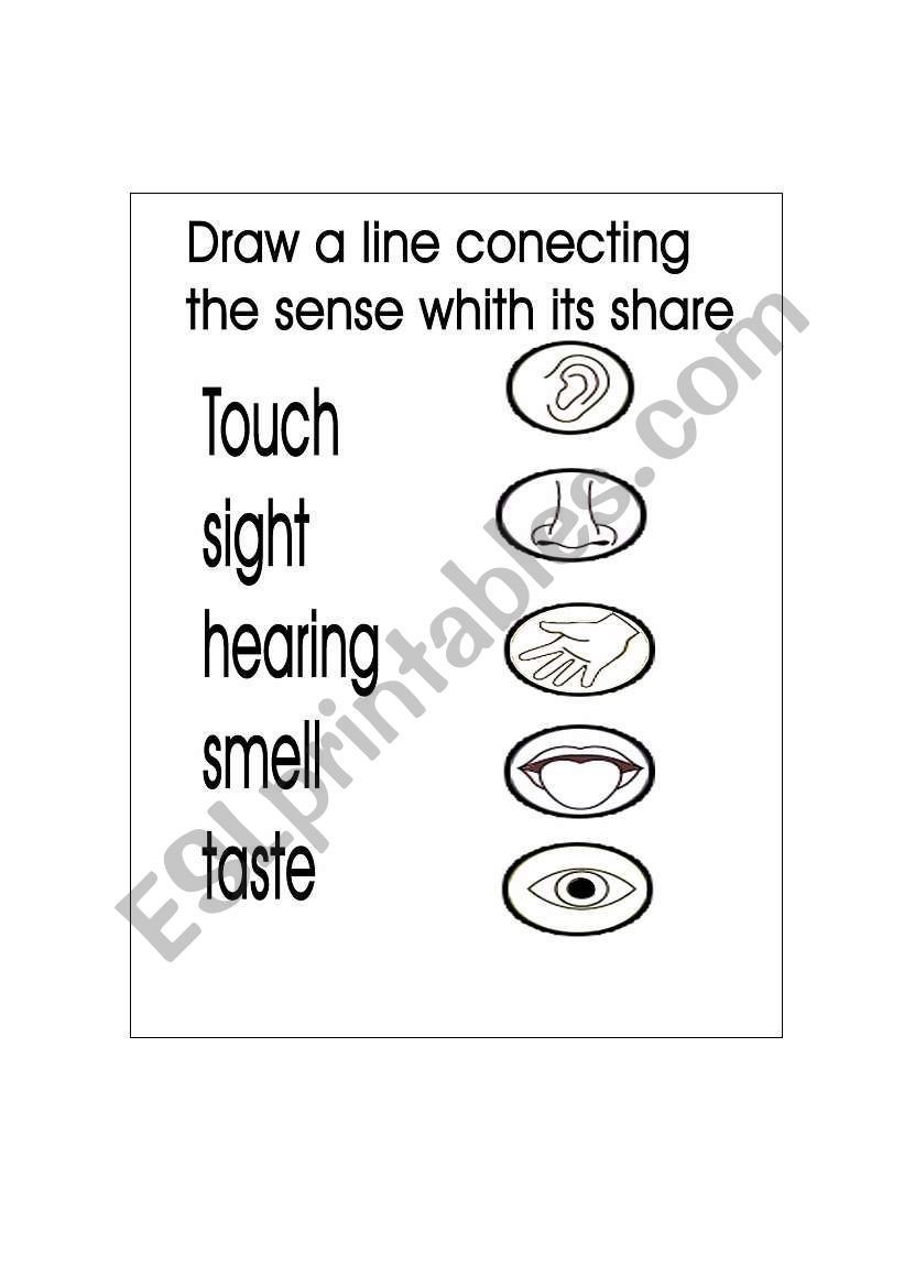 Five senses worksheet