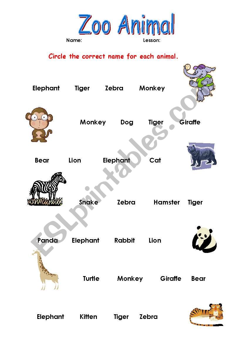 zoo animal worksheet