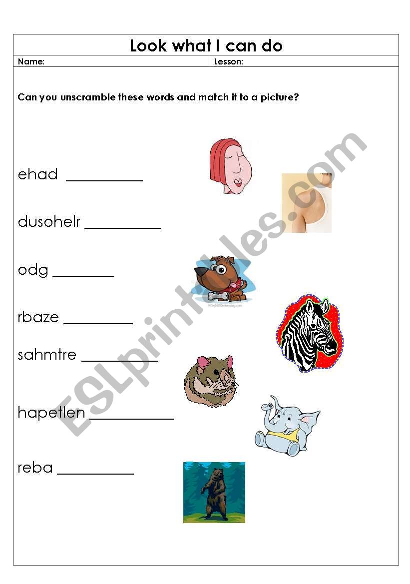 Animals worksheet