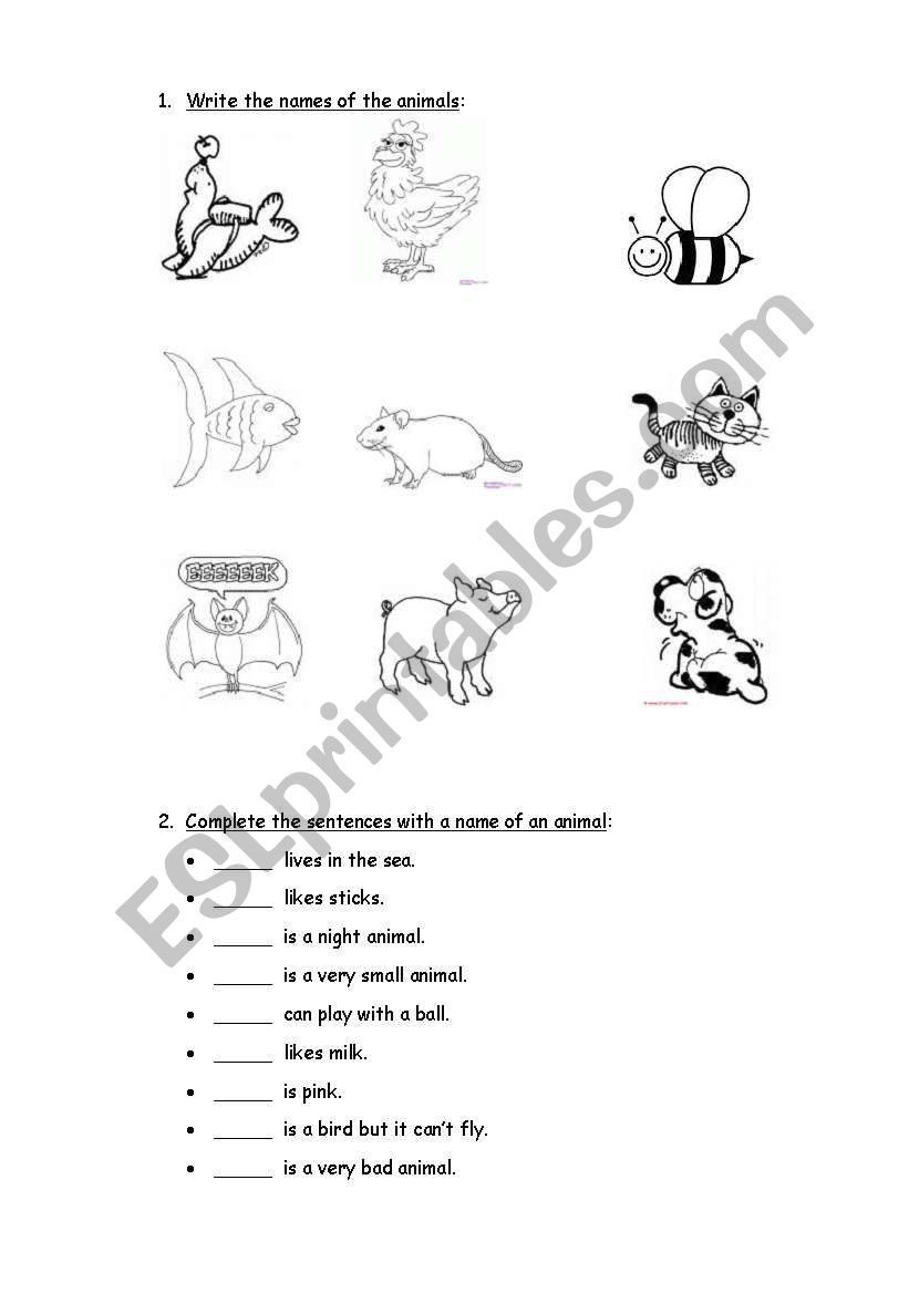 Animals! worksheet