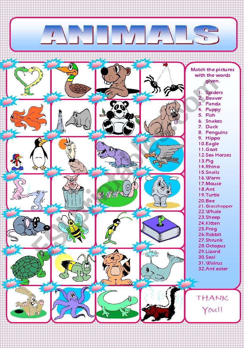 ANIMALS worksheet