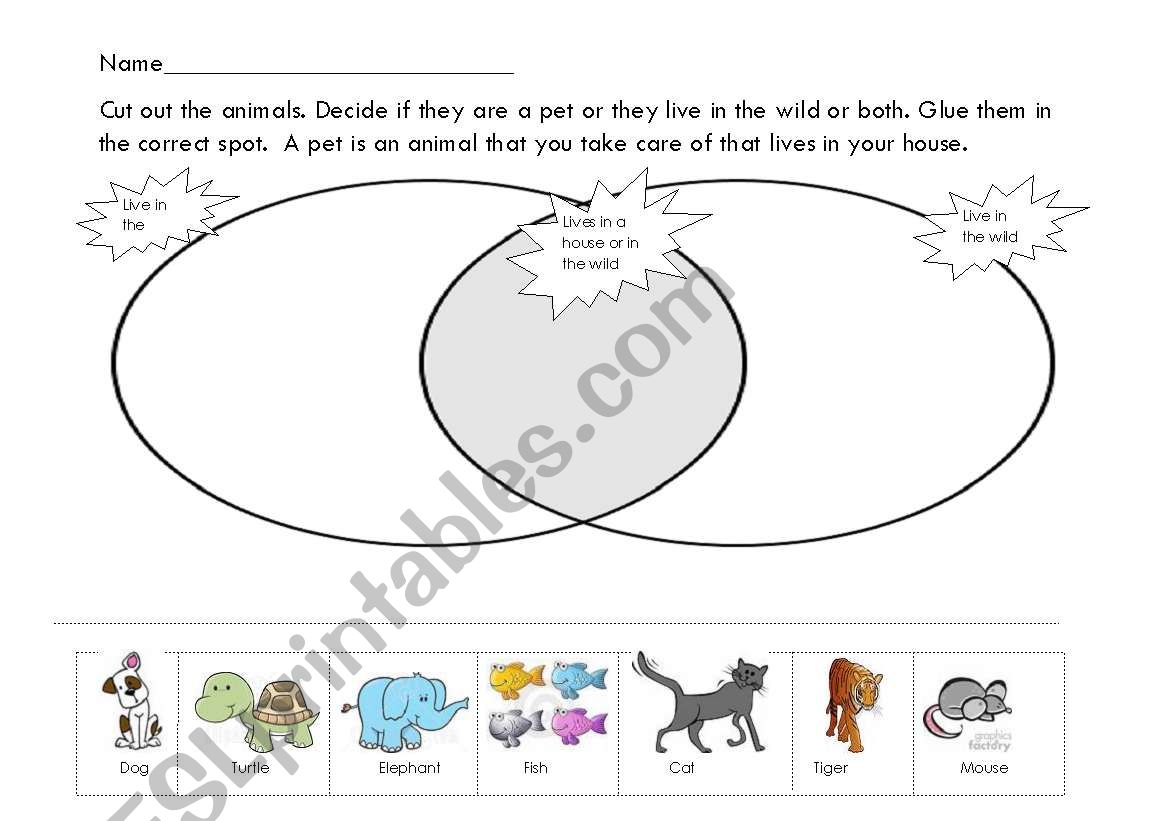 Pet Venn Diagram worksheet