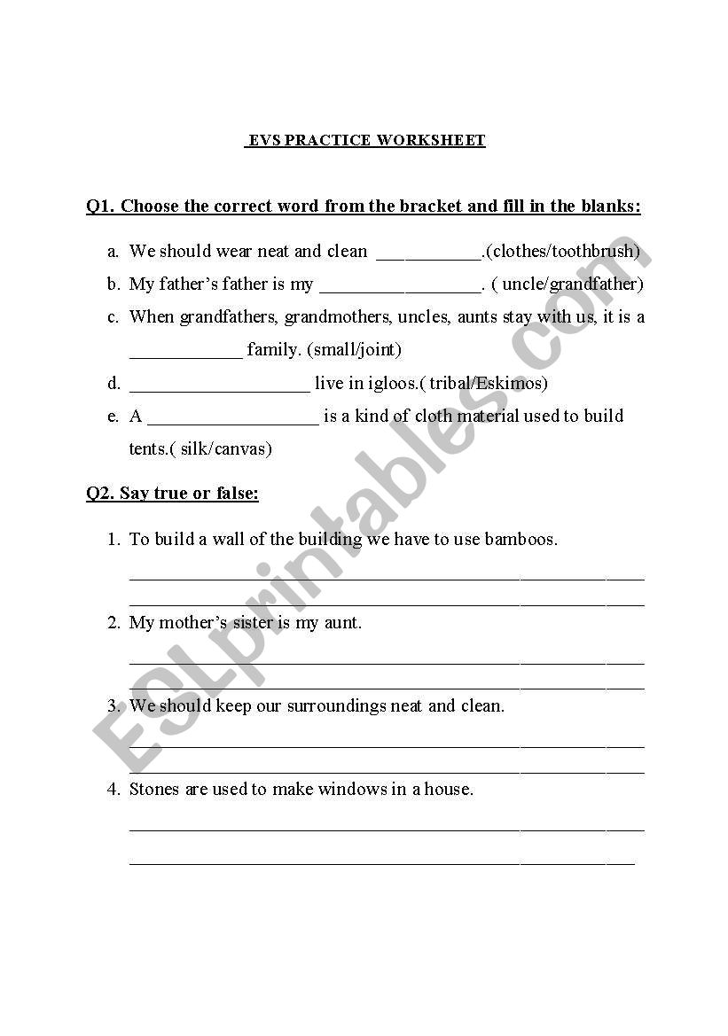 Environmental studies practise worksheet