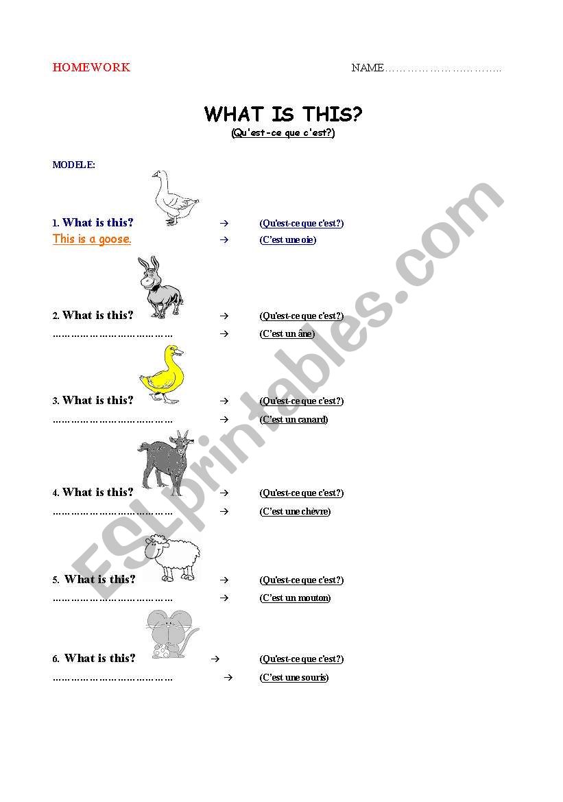 HOMEWORK - FARM ANIMALS worksheet