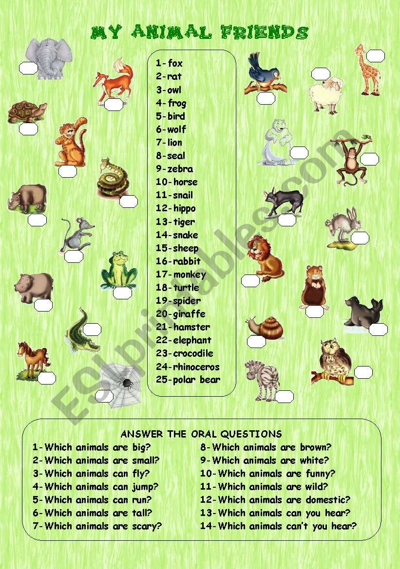 MY ANIMAL FRIENDS - ESL worksheet by rose95