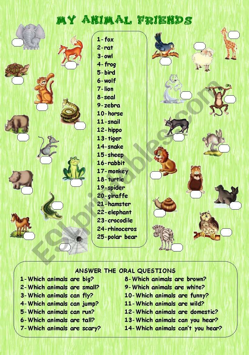 MY ANIMAL FRIENDS worksheet