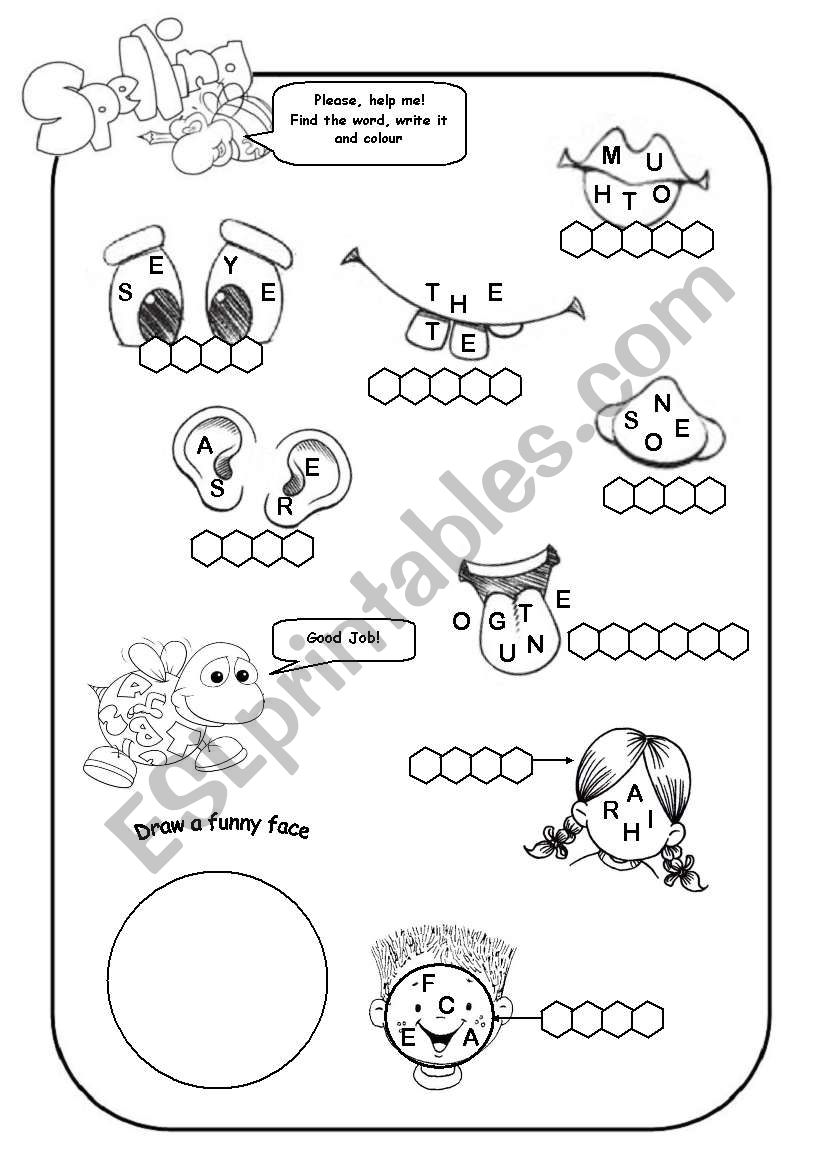 THE FACE  worksheet