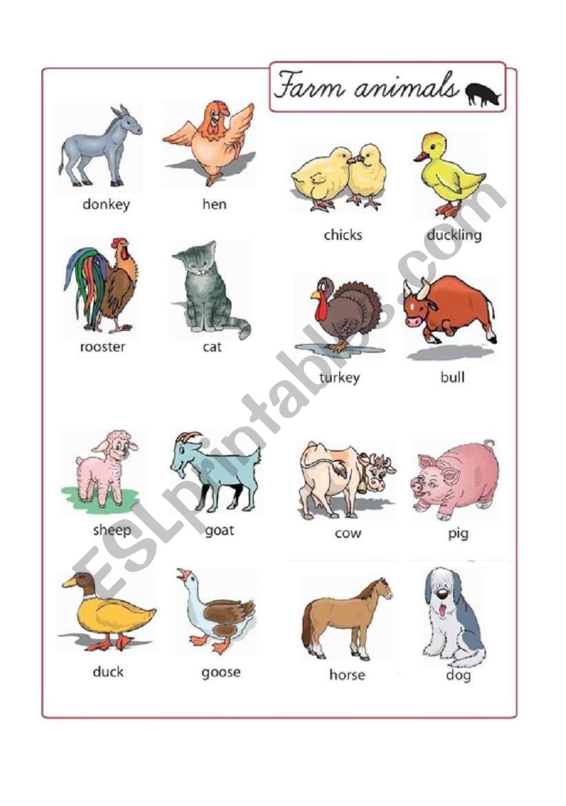 Farm Animals worksheet