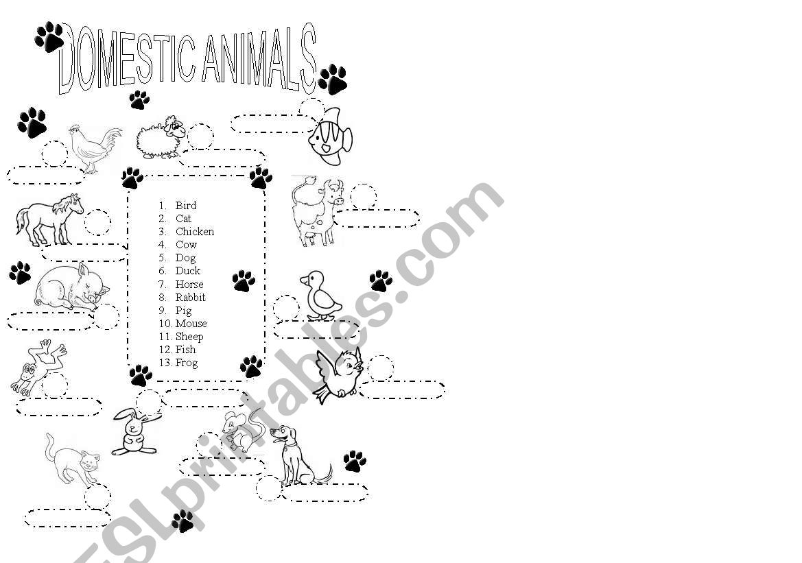 Animals worksheet