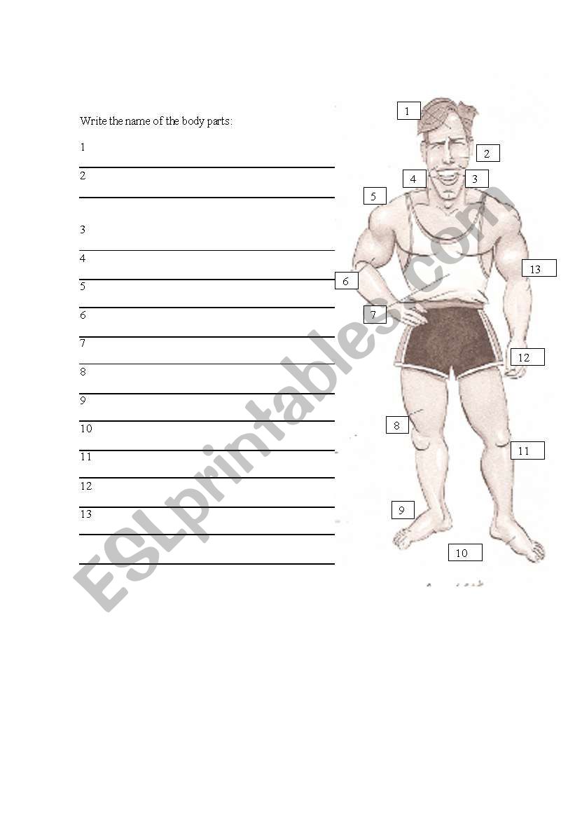 Body parts worksheet