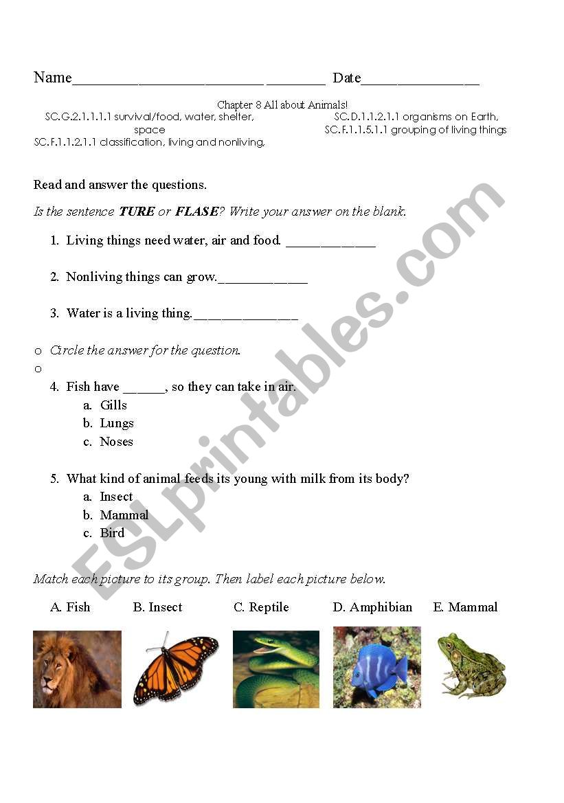 All about Animals test worksheet