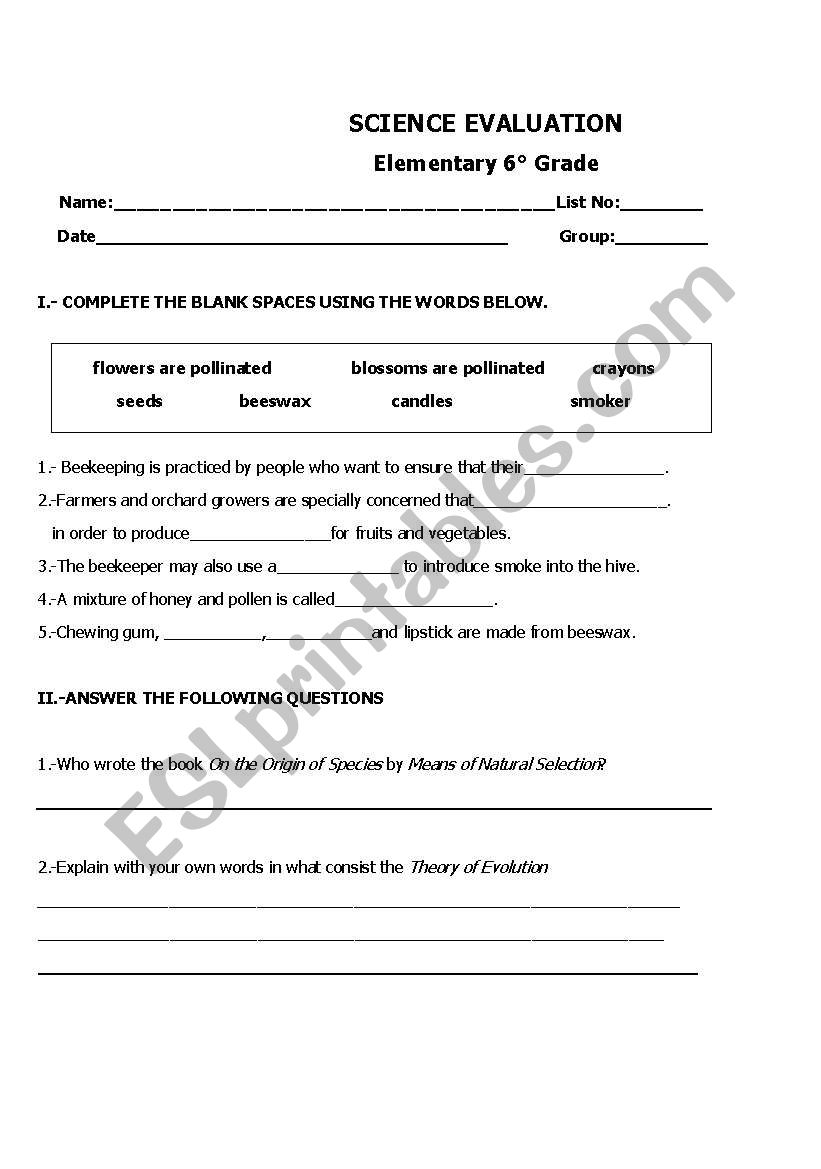 Science Evaluation Format worksheet