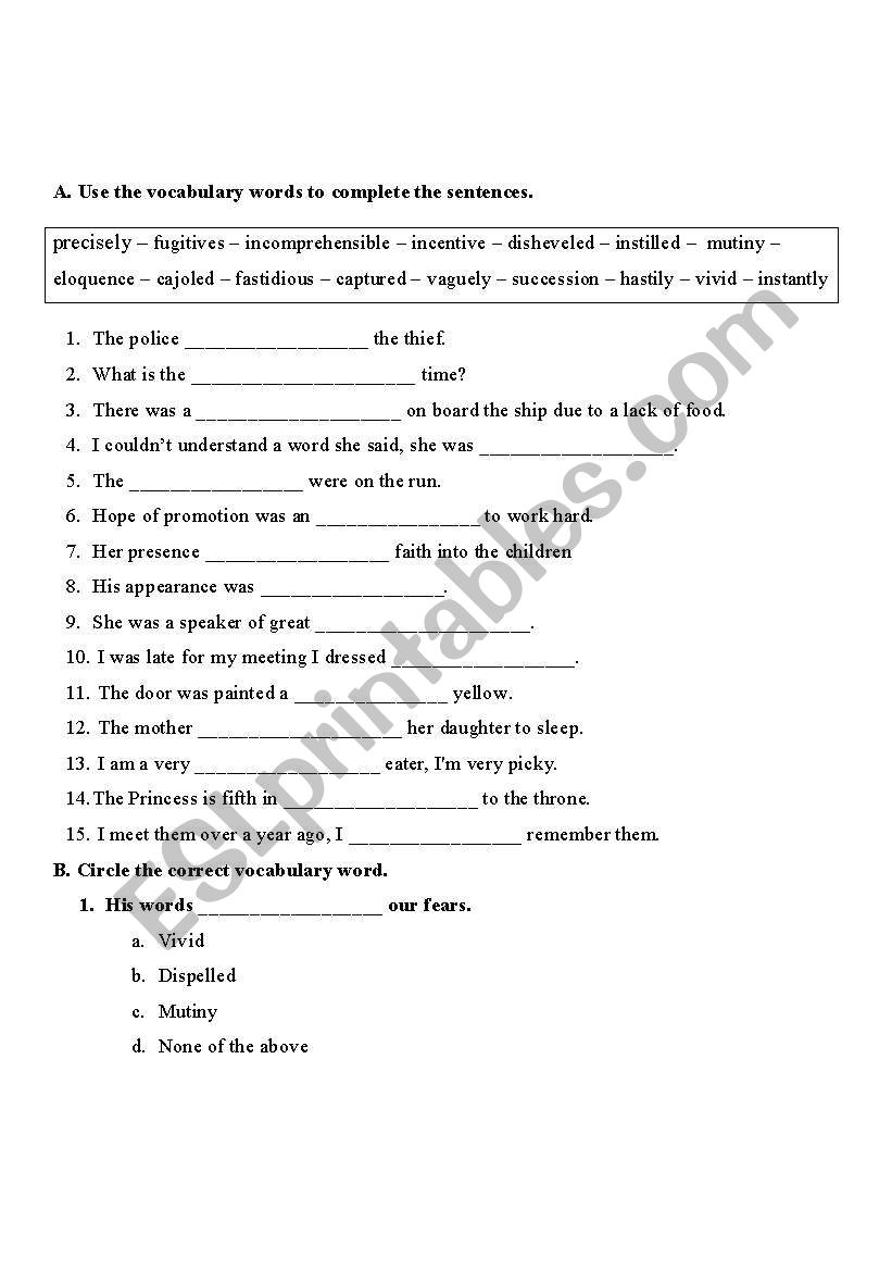 Vocabulary-Usage worksheet