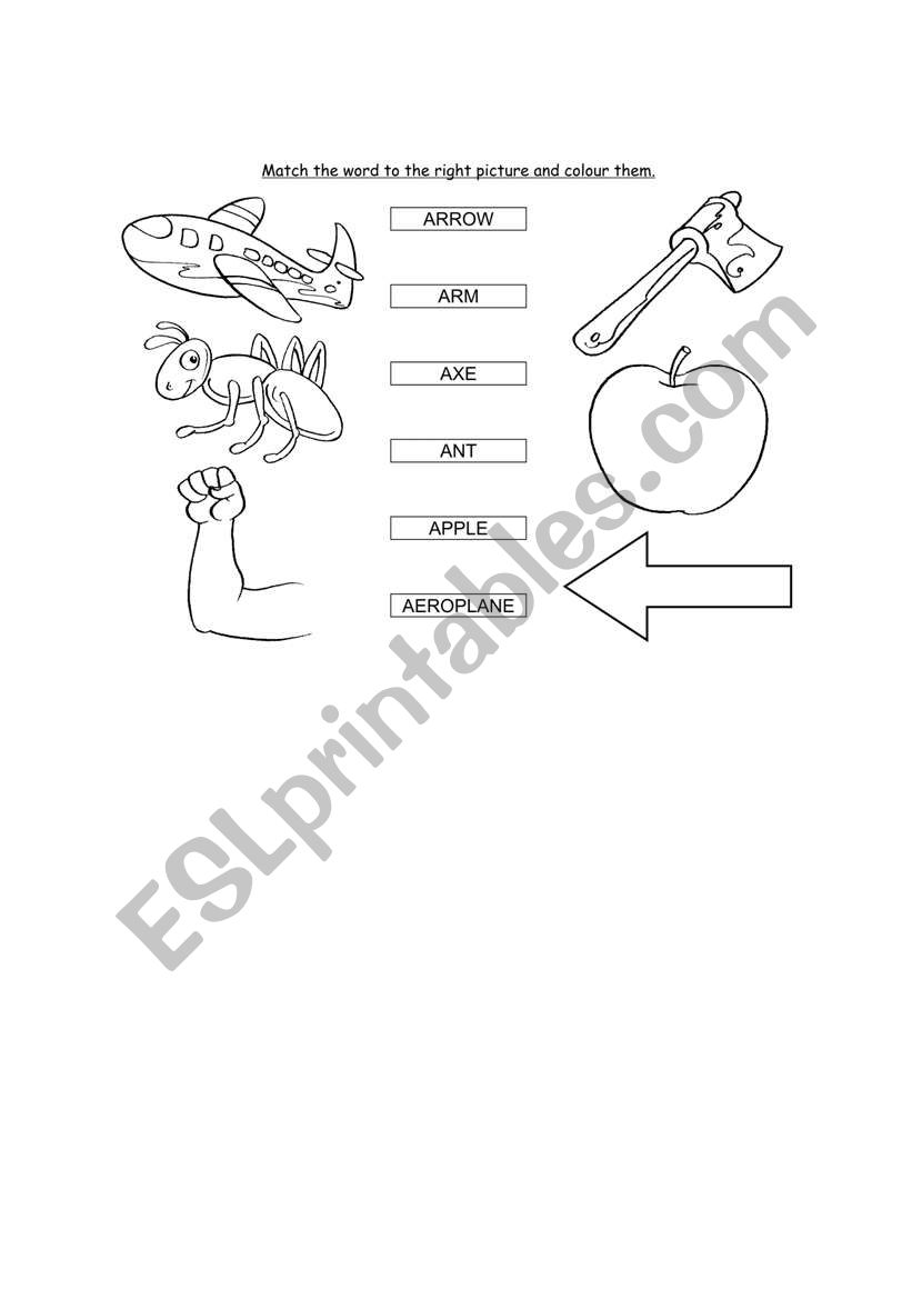 MATCH PICTURE AND NAME worksheet