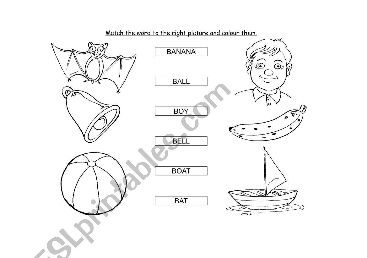 B MATCH NAME AND PICTURE worksheet