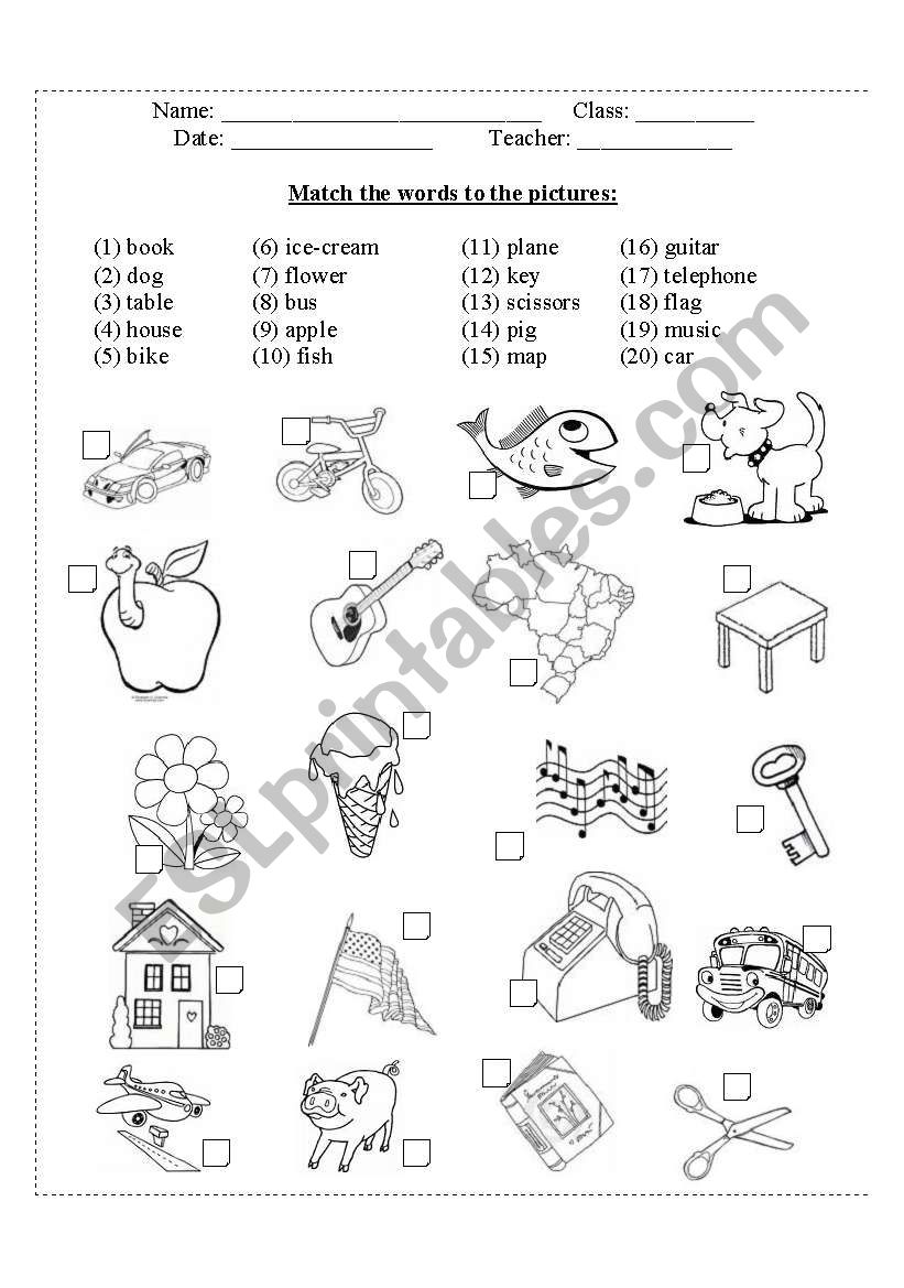 Test for kids worksheet