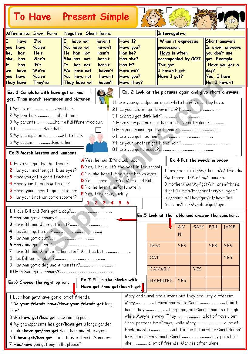 TO HAVE  present tense worksheet