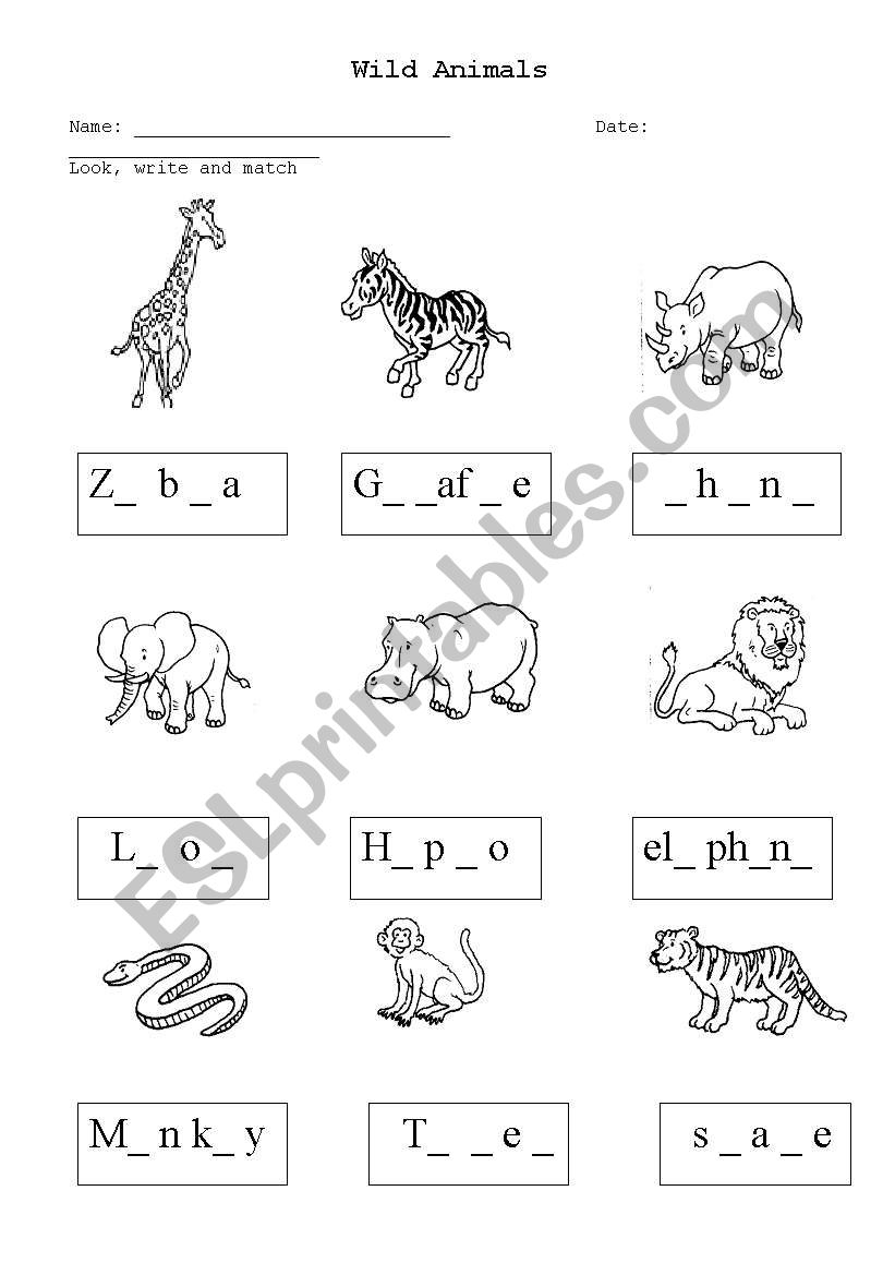 Wild Animals worksheet