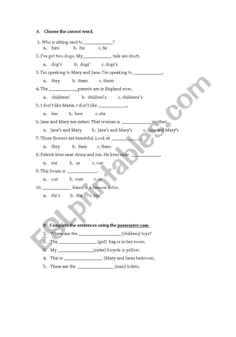 Possessives worksheet