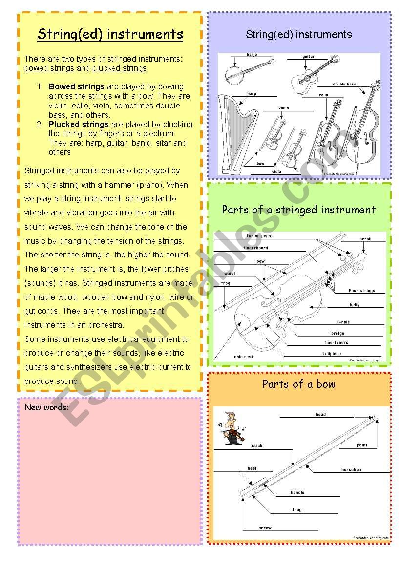 stringed instruments + label the parts + answer key