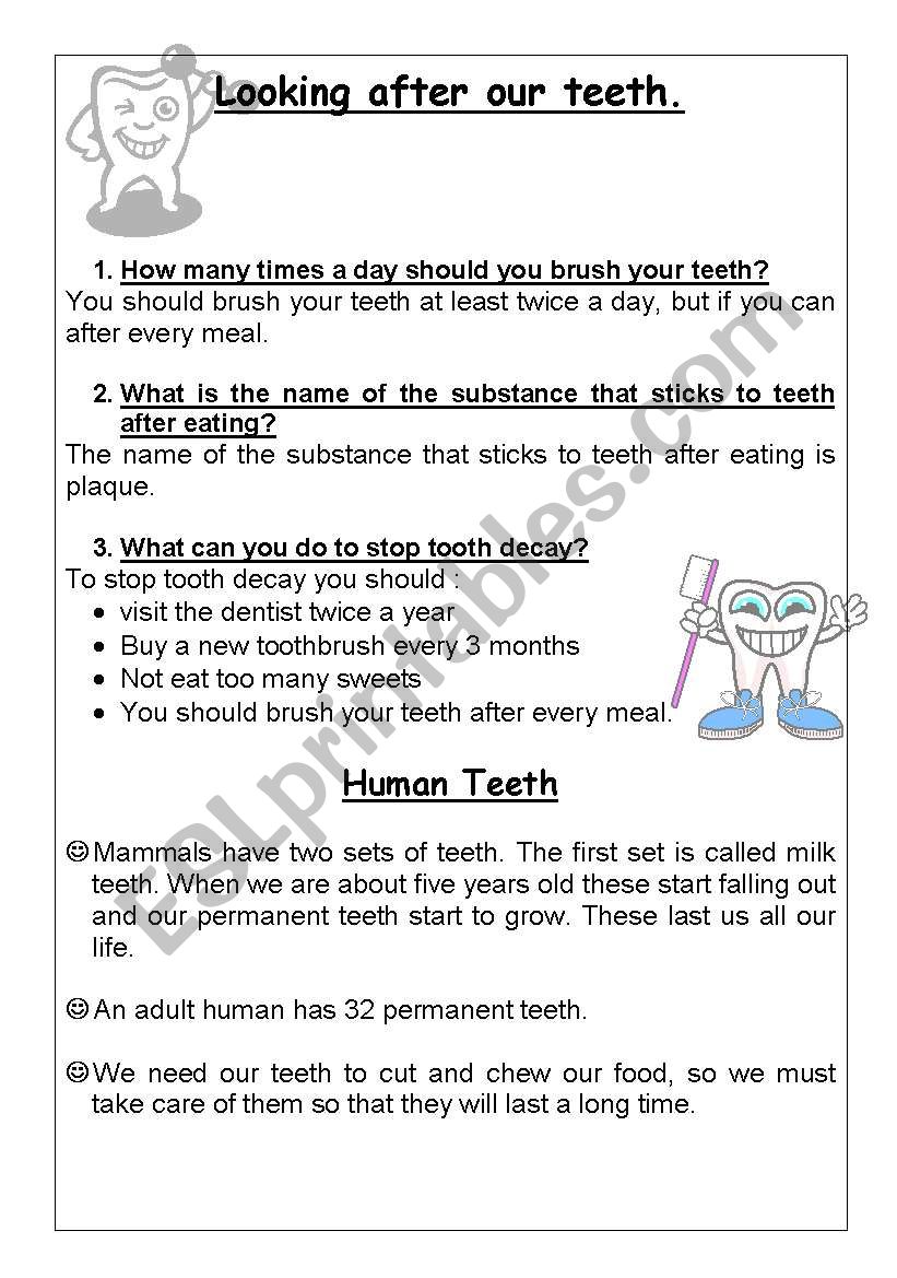 Looking after our teeth worksheet